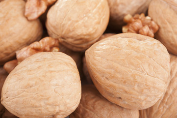 ripe walnuts 