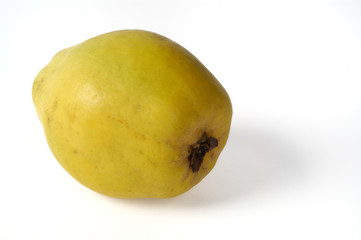 quince