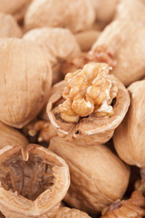 ripe walnuts 