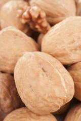 ripe walnuts 