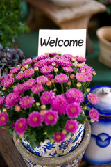 Welcome