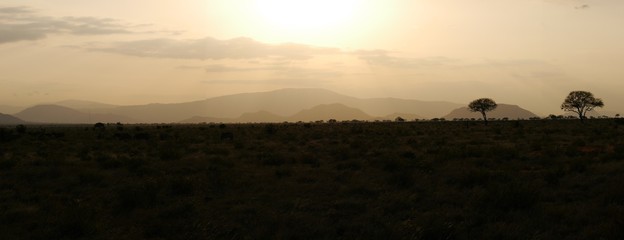 Landschaft in Kenia während Sonnenuntergang