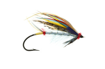 Blue Doctor Salmon Fly
