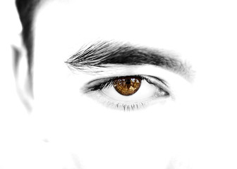 insightful look brown eyes boy