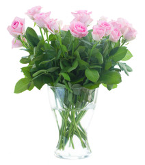 bouquet of fresh roses