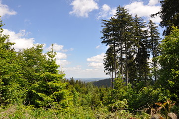 Blick vom Goethewanderweg auf den Thüringer Wald