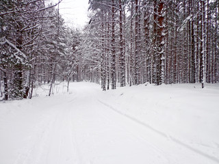 Winter road