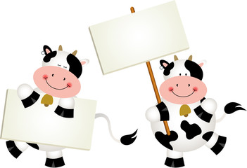 Couple cows with signboards