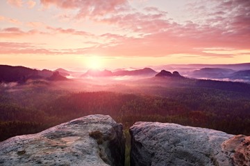 Fototapeta premium View over sandstone cliff into deep misty valley in Saxony Switzerland. Sandstone peaks increased from heavy foggy background.