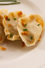 polish pierogi dish