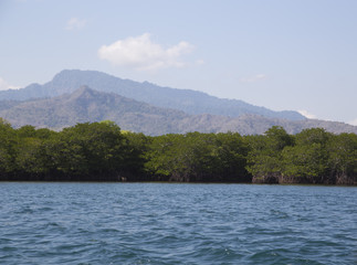 Calm sea with clear water and green coast in Bali