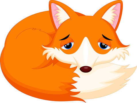 Cute fox cartoon sleeping