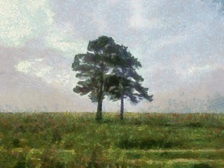 лесная полянка © blackobra