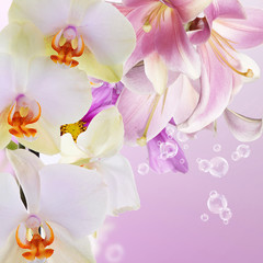 Fototapeta na wymiar Orchid with lily.Beautiful flowers
