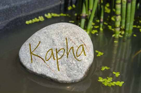 Stein mit Wassergarten, Schachtelhalm und Kapha
