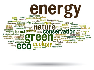 Vector conceptual ecology word cloud isolated