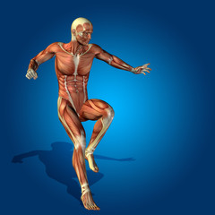 Conceptual 3D human man health anatomy