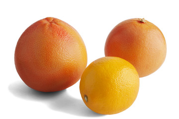 Grapefruit, orange and lemon isolated on white.