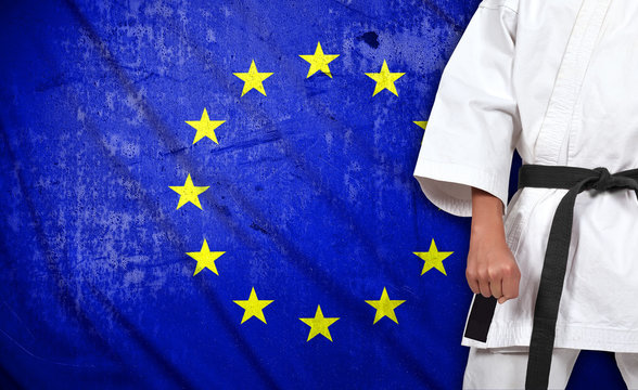boy in kimono and european union flag
