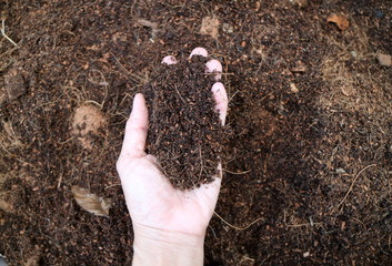 Hand is holding brown soil