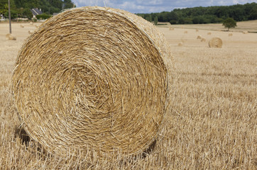 Straw bales in Sarthe department, Pays de la Loire, France