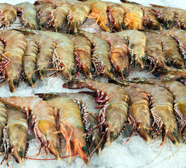 shrimp fresh diet