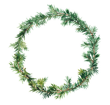 Spruce wreath - fir tree. Watercolor 