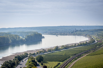 Fototapeta na wymiar Der Rhein bei Nierstein