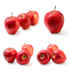 Set of red Washington apple isolated on white clipping path.