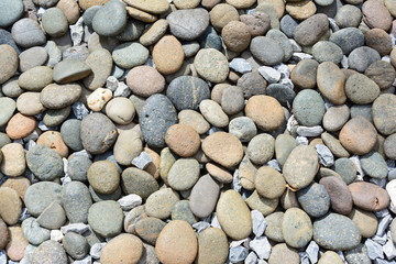 abstract background with dry round reeble stones