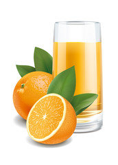 Oranges juice illustration