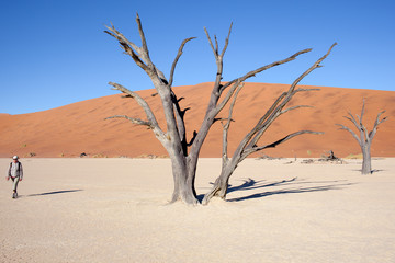 Fototapeta na wymiar Valle della morte, namibia
