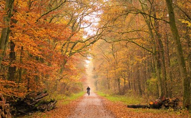 Fototapeta na wymiar Herbst im Baden Württemberg