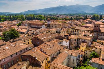 Fototapeta na wymiar View over Italian town Lucca with typical terracotta roofs
