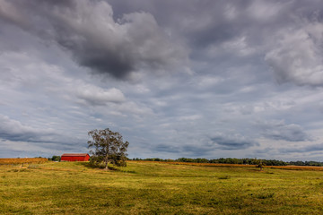 Obraz premium Red barn and Oak Tree on a rural Maryland Farm