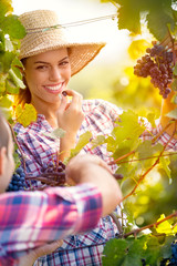 Attractive girl in vineyard