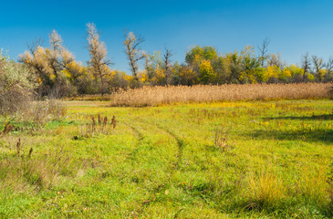 Landscape with autumnal meadow in central Ukraine