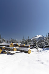 snowy winter in tatras mountains in Poland  with heap of pieces of wood