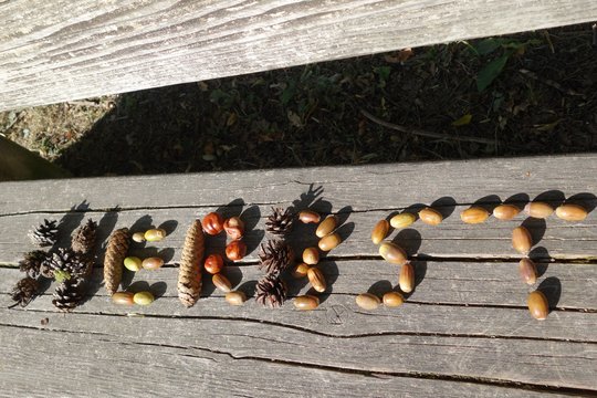 Herbstmotiv
