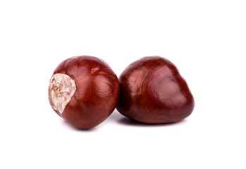 Two chestnut without shell isolated on white background