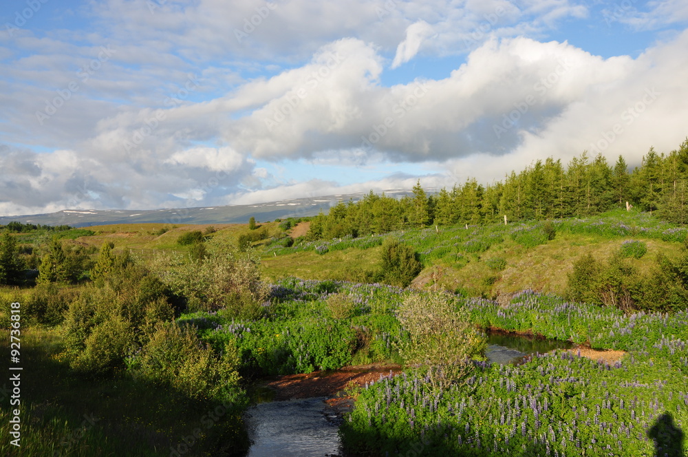 Poster Landschaft bei Egilsstadir, Island