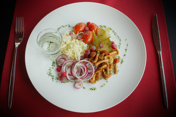 russian traditional starter with glass of vodka