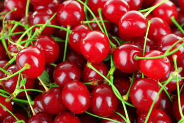 Cherries background