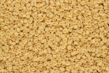 dry uncooked conchiglie pasta texture background