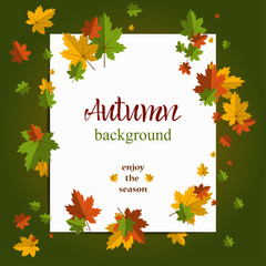 Seasonal background with maple leaves. Copy space. Vector