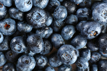 Heap of tasty ripe blueberries close up
