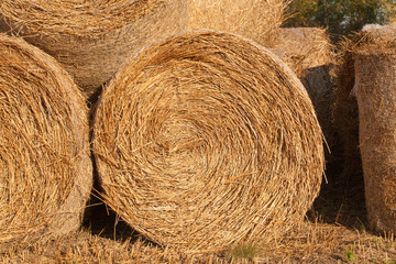 Field after harvest with straw bales at sunrise.