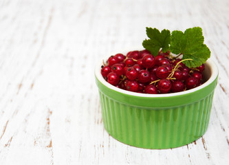 fresh red currant