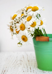 chamomile flowers in green bucket