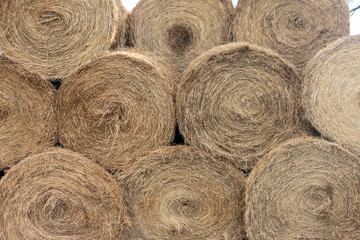 Stacked Hay Bales After the Harvest